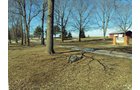 Property photo 6 - 66 Acres Offered in 3 Tracts